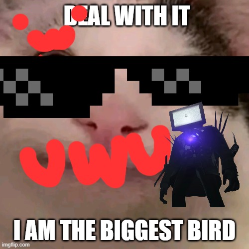 Beluga | DEAL WITH IT; I AM THE BIGGEST BIRD | image tagged in beluga | made w/ Imgflip meme maker