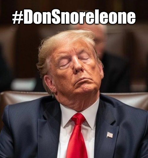 Don Snoreleone | #DonSnoreleone | image tagged in trump,donald trump,trial | made w/ Imgflip meme maker