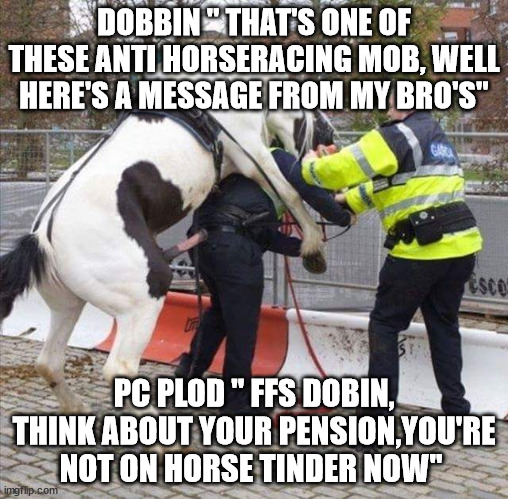 Police Horse | DOBBIN " THAT'S ONE OF THESE ANTI HORSERACING MOB, WELL HERE'S A MESSAGE FROM MY BRO'S"; PC PLOD " FFS DOBIN, THINK ABOUT YOUR PENSION,YOU'RE NOT ON HORSE TINDER NOW" | image tagged in police horse | made w/ Imgflip meme maker