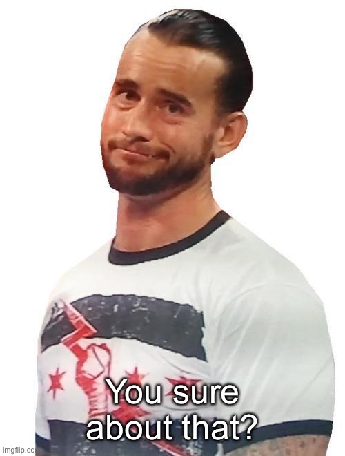 CM Punk is Not impressed | You sure about that? | image tagged in cm punk is not impressed | made w/ Imgflip meme maker