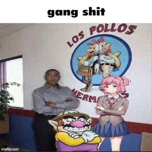 Gang shit | image tagged in gang shit | made w/ Imgflip meme maker