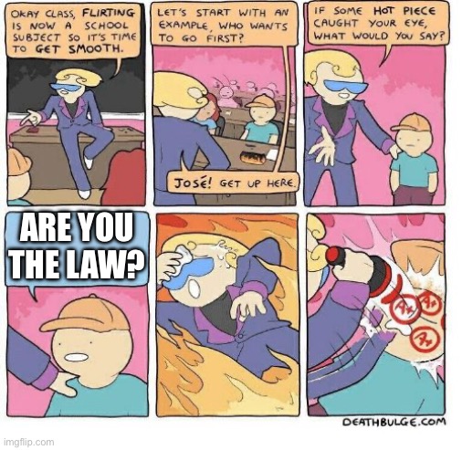 Flirting School | ARE YOU THE LAW? | image tagged in flirting school | made w/ Imgflip meme maker