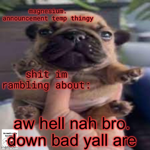 crazy yall droolin and strokin ur shit | aw hell nah bro.
down bad yall are | image tagged in pug temp | made w/ Imgflip meme maker