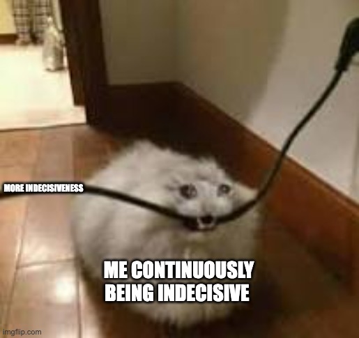 im so indecisive | MORE INDECISIVENESS; ME CONTINUOUSLY BEING INDECISIVE | image tagged in sad cat eating cord | made w/ Imgflip meme maker