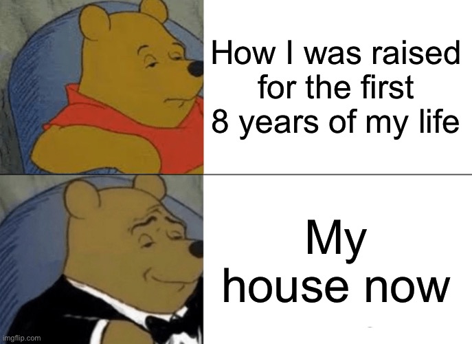 Sudden change is weird | How I was raised for the first 8 years of my life; My house now | image tagged in memes,tuxedo winnie the pooh | made w/ Imgflip meme maker