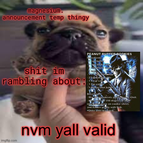 pug temp | nvm yall valid | image tagged in pug temp | made w/ Imgflip meme maker