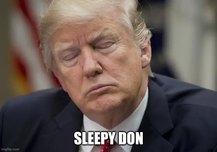 Hush money trials out him to sleep | SLEEPY DON | image tagged in trump sleeping on the job | made w/ Imgflip meme maker