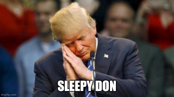 You snooze, you lose | SLEEPY DON | image tagged in trump sleeping | made w/ Imgflip meme maker