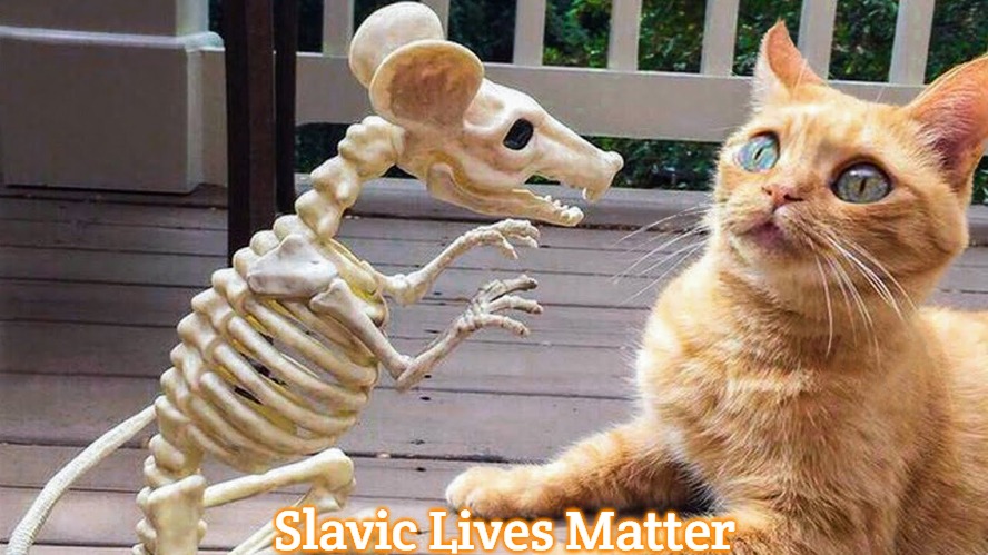 Cat and the Rat | Slavic Lives Matter | image tagged in cat and the rat,slavic | made w/ Imgflip meme maker