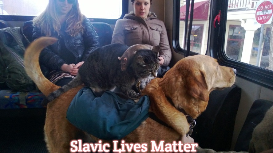A rat on cat on dog on bus | Slavic Lives Matter | image tagged in a rat on cat on dog on bus,slavic | made w/ Imgflip meme maker