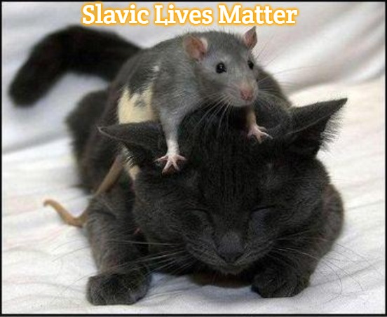 Rat-cat | Slavic Lives Matter | image tagged in rat-cat,slavic | made w/ Imgflip meme maker