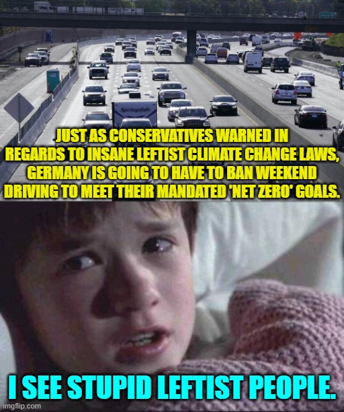 Leftist insanity just keep growing and growing.  Enjoy. | JUST AS CONSERVATIVES WARNED IN REGARDS TO INSANE LEFTIST CLIMATE CHANGE LAWS, GERMANY IS GOING TO HAVE TO BAN WEEKEND DRIVING TO MEET THEIR MANDATED 'NET ZERO' GOALS. I SEE STUPID LEFTIST PEOPLE. | image tagged in i see dead people | made w/ Imgflip meme maker