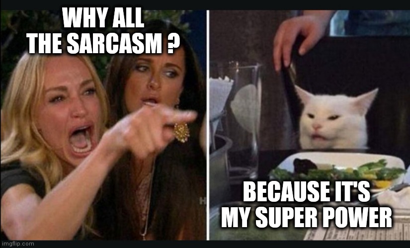 Sarcasm | WHY ALL THE SARCASM ? BECAUSE IT'S MY SUPER POWER | image tagged in cracker cat | made w/ Imgflip meme maker