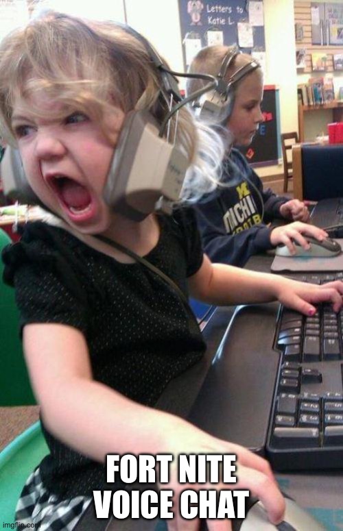 Stop shooting | FORT NITE VOICE CHAT | image tagged in stop shooting | made w/ Imgflip meme maker