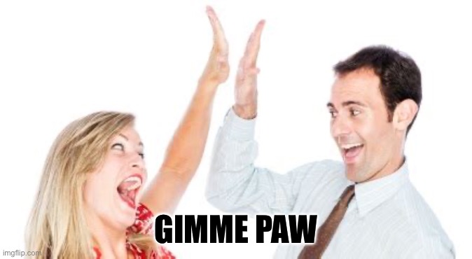 Gimme paw | GIMME PAW | image tagged in high 5,paw patrol | made w/ Imgflip meme maker