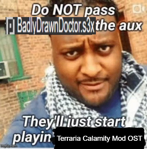 Do not pass the X the aux They’ll just start playin Y | Terraria Calamity Mod OST | image tagged in do not pass the x the aux they ll just start playin y | made w/ Imgflip meme maker