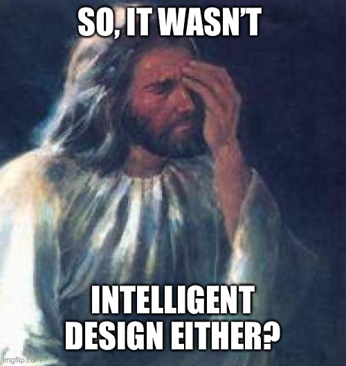 jesus facepalm | SO, IT WASN’T INTELLIGENT DESIGN EITHER? | image tagged in jesus facepalm | made w/ Imgflip meme maker