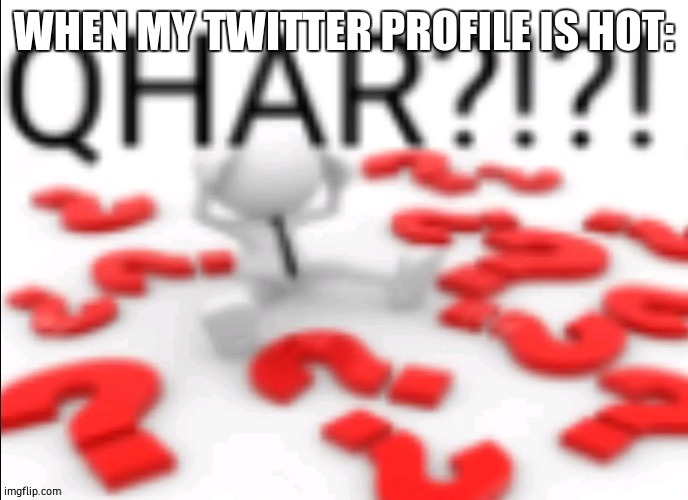 WTF???? | WHEN MY TWITTER PROFILE IS HOT: | image tagged in qhar,twitter | made w/ Imgflip meme maker
