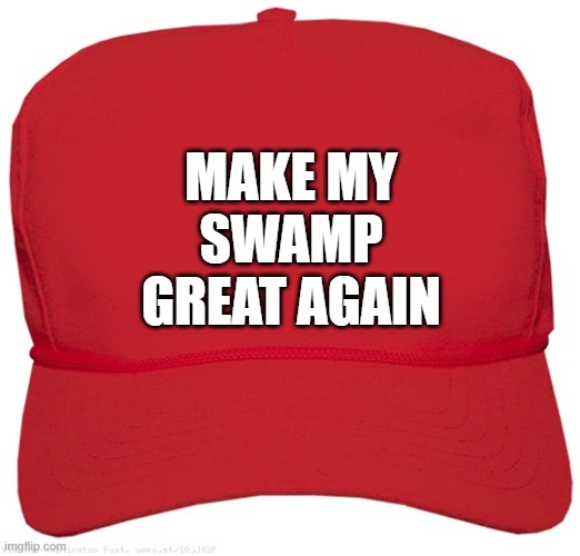 blank red MAGA CESSPOOL hat | MAKE MY
SWAMP
GREAT AGAIN | image tagged in blank red maga hat,drain the swamp,fascist,dictator,commie,donald trump approves | made w/ Imgflip meme maker