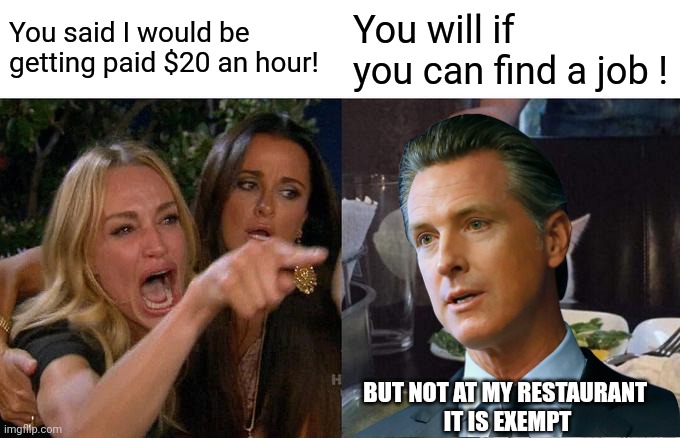 Woman Yelling At Cat Meme | You said I would be getting paid $20 an hour! You will if you can find a job ! BUT NOT AT MY RESTAURANT 
IT IS EXEMPT | image tagged in memes,woman yelling at cat | made w/ Imgflip meme maker