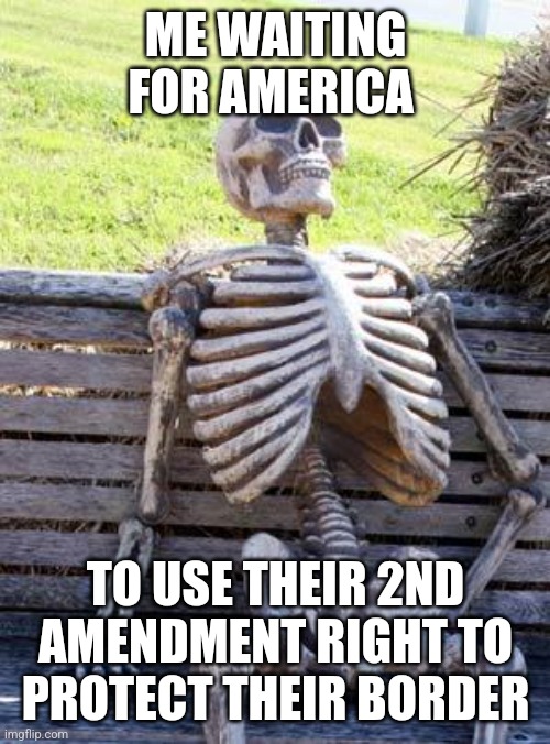 Waiting Skeleton | ME WAITING FOR AMERICA; TO USE THEIR 2ND AMENDMENT RIGHT TO PROTECT THEIR BORDER | image tagged in memes,waiting skeleton | made w/ Imgflip meme maker