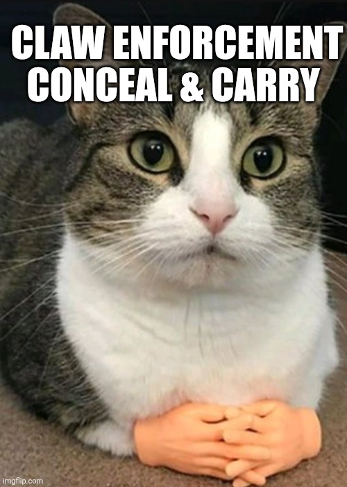 Hiding Them | CLAW ENFORCEMENT CONCEAL & CARRY | image tagged in kitty cat | made w/ Imgflip meme maker