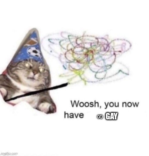 woosh you now have | ∞  GAY | image tagged in woosh you now have | made w/ Imgflip meme maker