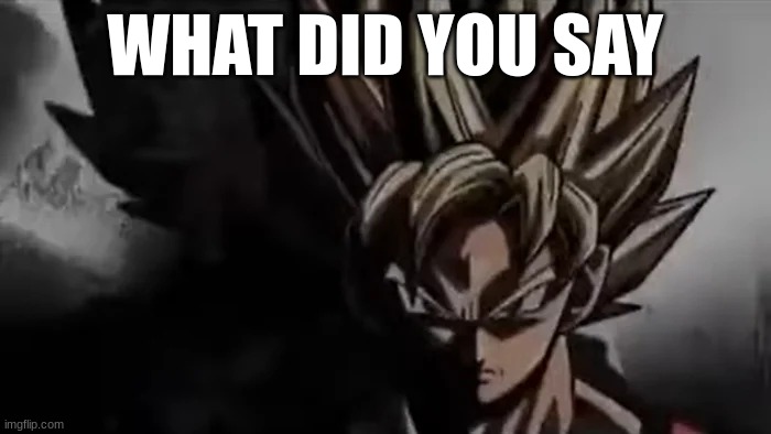 Goku Staring | WHAT DID YOU SAY | image tagged in goku staring | made w/ Imgflip meme maker
