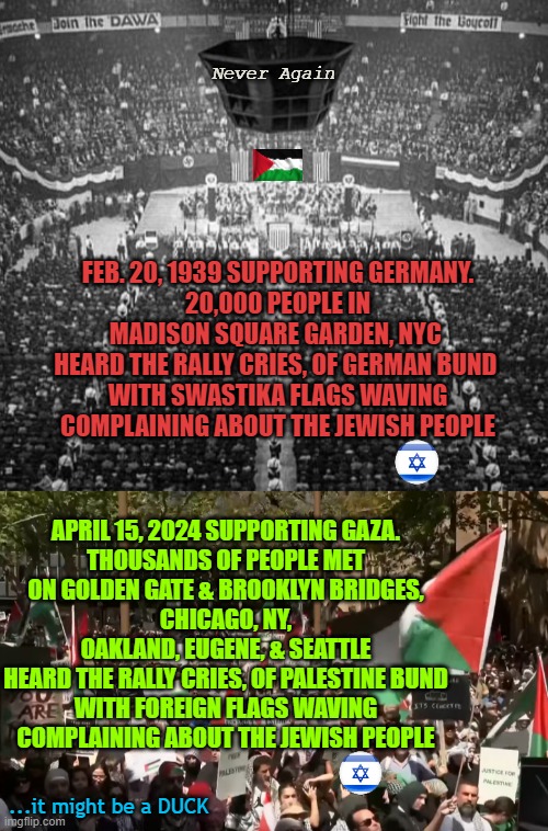 If it walks like a duck, and quacks like a duck, ... | Never Again; FEB. 20, 1939 SUPPORTING GERMANY.
20,000 PEOPLE IN
MADISON SQUARE GARDEN, NYC 
HEARD THE RALLY CRIES, OF GERMAN BUND 
WITH SWASTIKA FLAGS WAVING
COMPLAINING ABOUT THE JEWISH PEOPLE; APRIL 15, 2024 SUPPORTING GAZA.
THOUSANDS OF PEOPLE MET
ON GOLDEN GATE & BROOKLYN BRIDGES,
CHICAGO, NY, OAKLAND, EUGENE, & SEATTLE
HEARD THE RALLY CRIES, OF PALESTINE BUND
WITH FOREIGN FLAGS WAVING
COMPLAINING ABOUT THE JEWISH PEOPLE; ...it might be a DUCK | image tagged in garden,golden gate bridge,nyc,germans,pearl harbor,terrorism | made w/ Imgflip meme maker