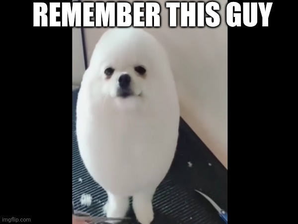 Eggdog | REMEMBER THIS GUY | made w/ Imgflip meme maker