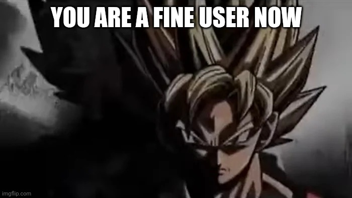 Goku Staring | YOU ARE A FINE USER NOW | image tagged in goku staring | made w/ Imgflip meme maker