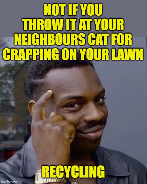NOT IF YOU THROW IT AT YOUR NEIGHBOURS CAT FOR CRAPPING ON YOUR LAWN RECYCLING | image tagged in thinking black guy | made w/ Imgflip meme maker