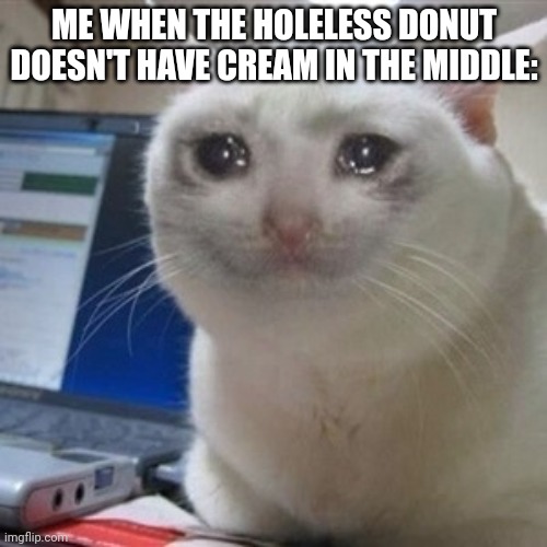 Why must you do me this way | ME WHEN THE HOLELESS DONUT DOESN'T HAVE CREAM IN THE MIDDLE: | image tagged in crying cat | made w/ Imgflip meme maker