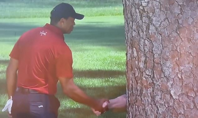 Tiger Woods handshake, Masters'24 Blank Meme Template