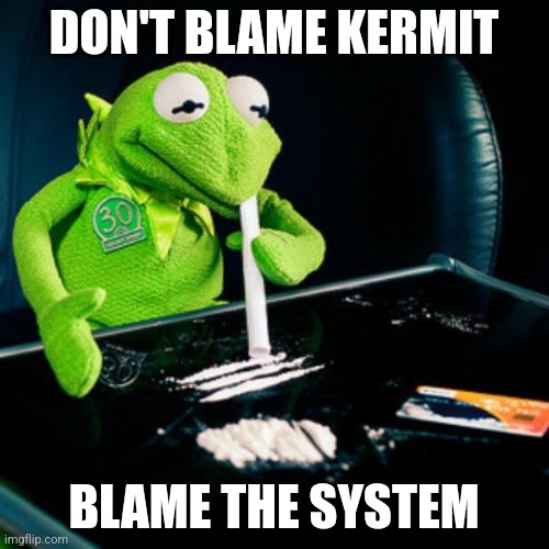 kermit coke | DON'T BLAME KERMIT BLAME THE SYSTEM | image tagged in kermit coke | made w/ Imgflip meme maker