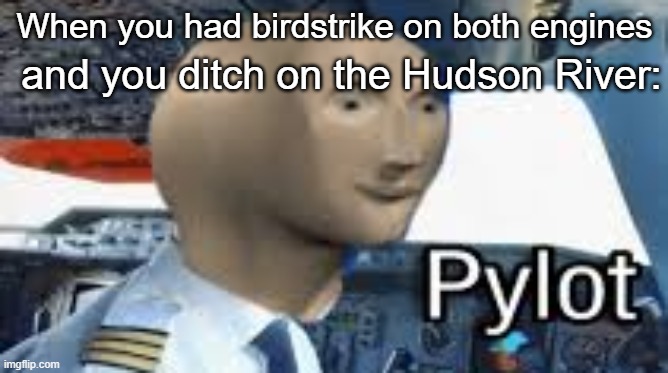 Pylot | When you had birdstrike on both engines; and you ditch on the Hudson River: | image tagged in meme man pylot,memes,aviation,pilot,airplane | made w/ Imgflip meme maker