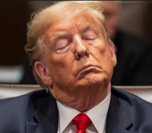Sleepy Trump Blank Meme Template