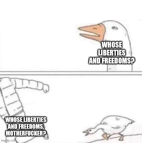 Goose Chase | WHOSE LIBERTIES AND FREEDOMS? WHOSE LIBERTIES AND FREEDOMS, MOTHERFUCKER? | image tagged in goose chase | made w/ Imgflip meme maker