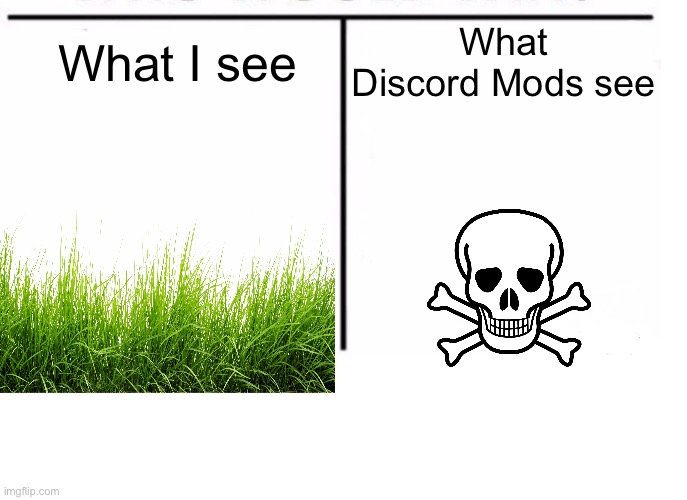 comparison table | What I see; What Discord Mods see | image tagged in comparison table | made w/ Imgflip meme maker