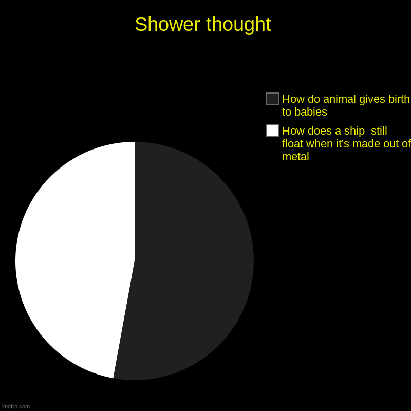 Shower thought | How does a ship  still float when it's made out of metal, How do animal gives birth to babies | image tagged in charts,pie charts,shower thoughts | made w/ Imgflip chart maker