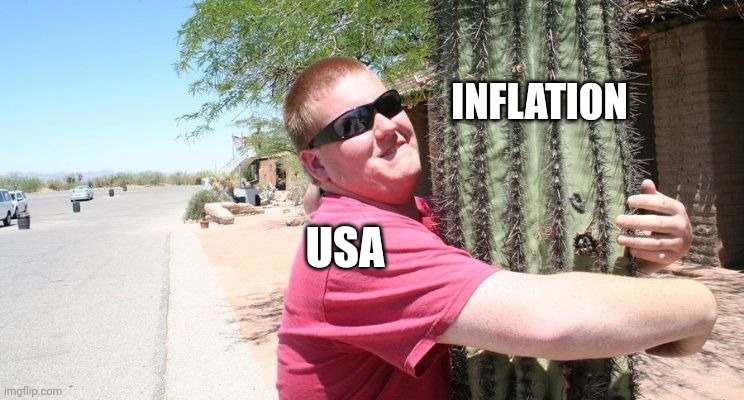 Yeah I know | INFLATION; USA | image tagged in man hugging cactus | made w/ Imgflip meme maker