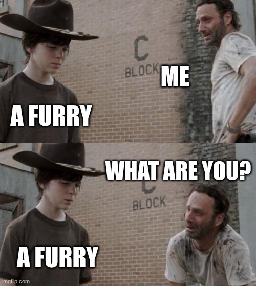 Rick and Carl at the prison | ME; A FURRY; WHAT ARE YOU? A FURRY | image tagged in memes,rick and carl | made w/ Imgflip meme maker