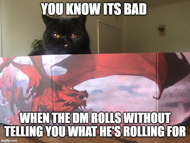 DM rolling | YOU KNOW ITS BAD; WHEN THE DM ROLLS WITHOUT TELLING YOU WHAT HE'S ROLLING FOR | image tagged in dndcat,dnd | made w/ Imgflip meme maker