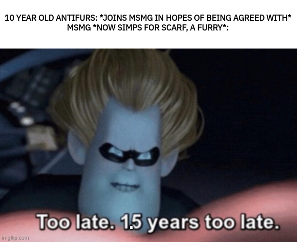 1.5 years too late! | 10 YEAR OLD ANTIFURS: *JOINS MSMG IN HOPES OF BEING AGREED WITH*
MSMG *NOW SIMPS FOR SCARF, A FURRY*:; . | image tagged in too late | made w/ Imgflip meme maker