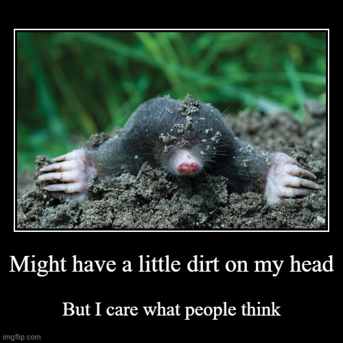 I care | Might have a little dirt on my head | But I care what people think | image tagged in funny,demotivationals | made w/ Imgflip demotivational maker