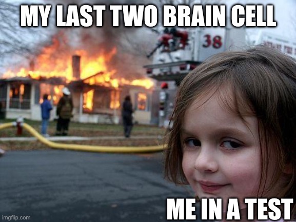 Disaster Girl | MY LAST TWO BRAIN CELL; ME IN A TEST | image tagged in memes,disaster girl | made w/ Imgflip meme maker