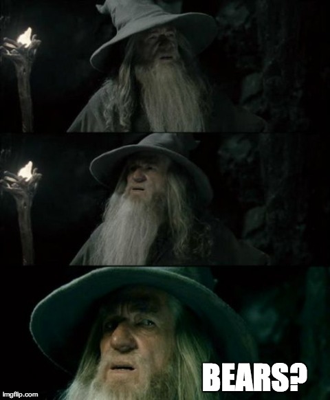 Confused Gandalf | BEARS? | image tagged in memes,confused gandalf,AdviceAnimals | made w/ Imgflip meme maker