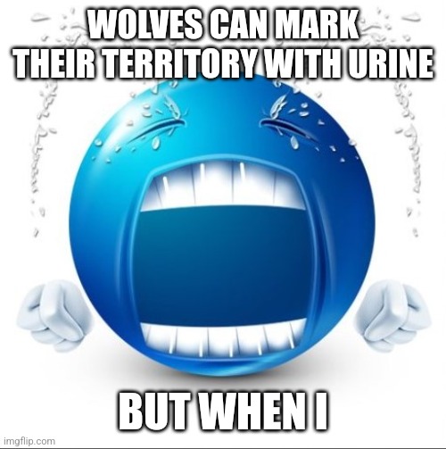 Crying Blue guy | WOLVES CAN MARK THEIR TERRITORY WITH URINE; BUT WHEN I | made w/ Imgflip meme maker