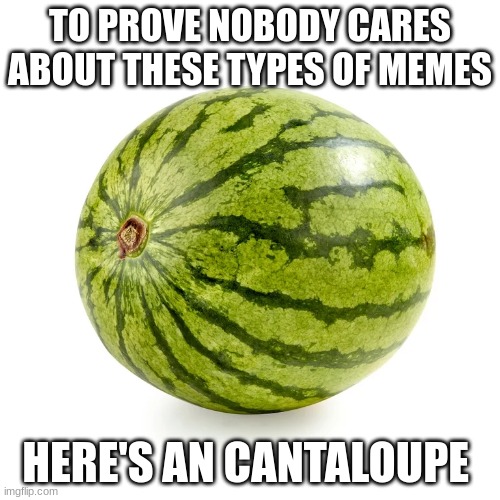 Cantaloupe mmmm | TO PROVE NOBODY CARES ABOUT THESE TYPES OF MEMES; HERE'S AN CANTALOUPE | image tagged in cantaloupe,meme,notfunny | made w/ Imgflip meme maker