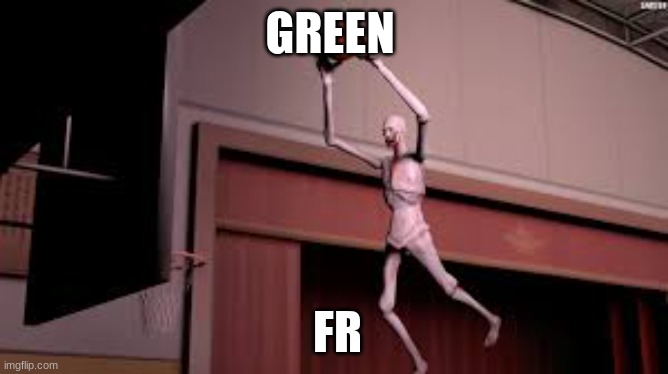Basket ball? | GREEN; FR | image tagged in funny | made w/ Imgflip meme maker